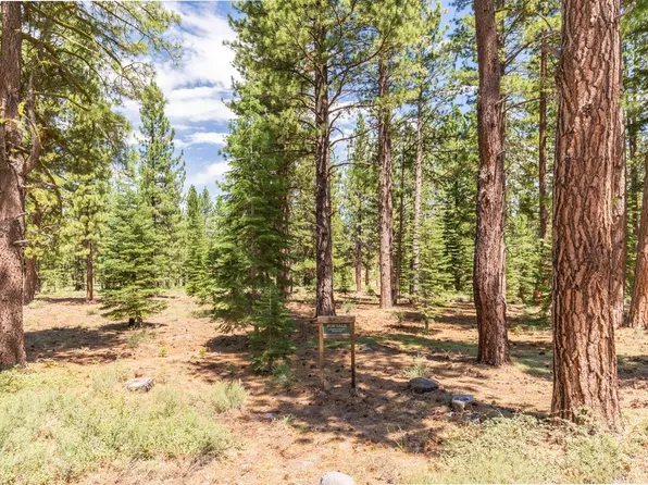 13265 Snowshoe Thompson Cir, Truckee, CA 96161