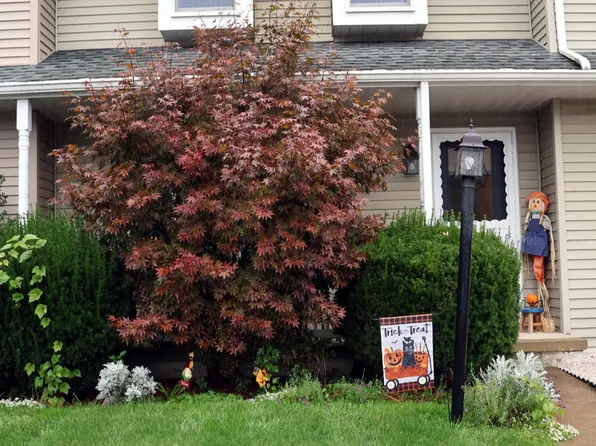 718 Orange St, Danville, PA 17821