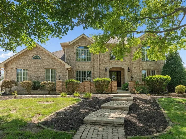 12119 Longmeadow Ln, Homer Glen, IL 60491