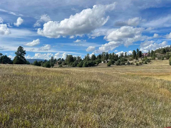 1361 Hersch Avenue, Pagosa Springs, CO 81147