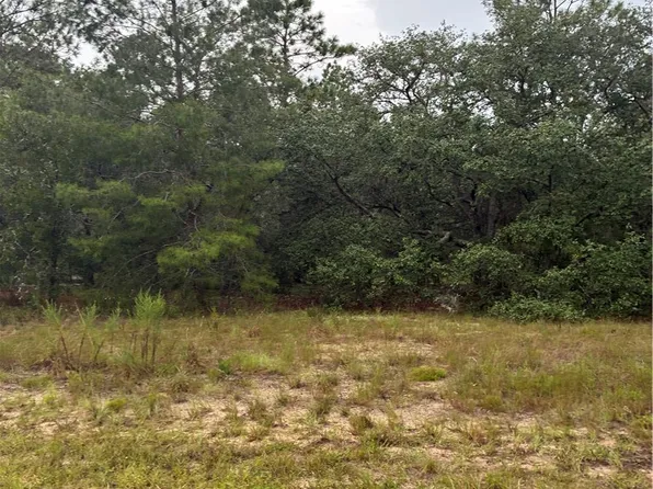 1001 W Bannister Dr, Citrus Springs, FL 34434