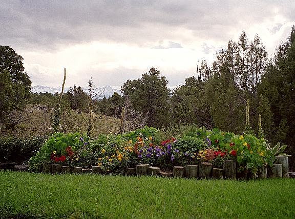 5th image of 700 Paso De Pablo