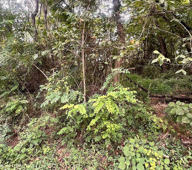 1st image of LOT 15 Nameless Way