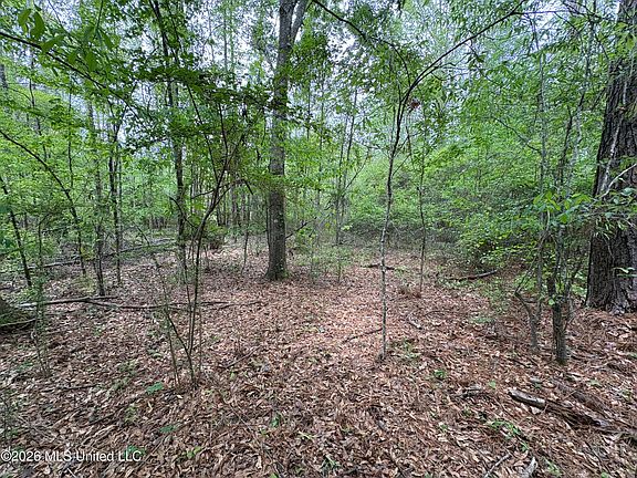 3rd image of Forest Trl NE