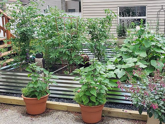 Garden at end of driveway