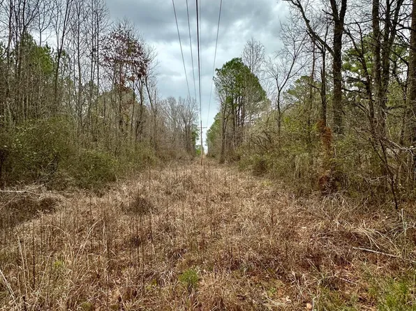 State Highway 16, Canton, MS 39046