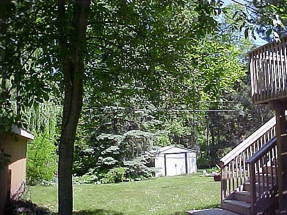 Peaceful with wild life