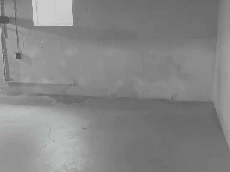 Basement view. Utility sink.