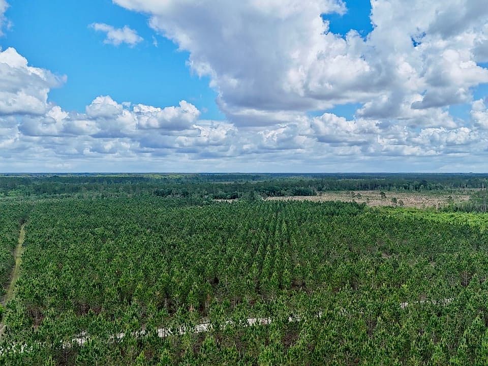 Dji 20260513151915 0571 D