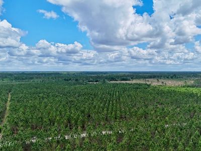 Owens Rd, Odum, GA, 31555