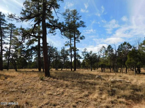 4560 DURANGO Drive #369,370, Happy Jack, AZ 86024