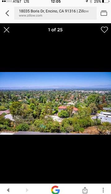 the view you see