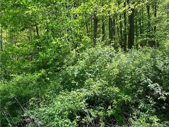 Main Market Rd, Garrettsville, OH 44231