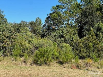 20979 Robinson Ln, Gulf Shores, AL, 36542