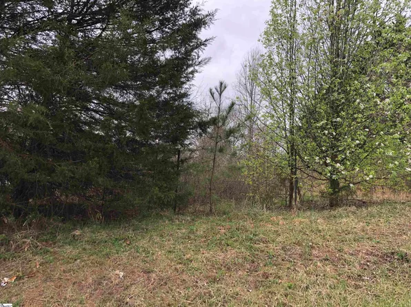 0 Jamyn Ct, Cowpens, SC 29330