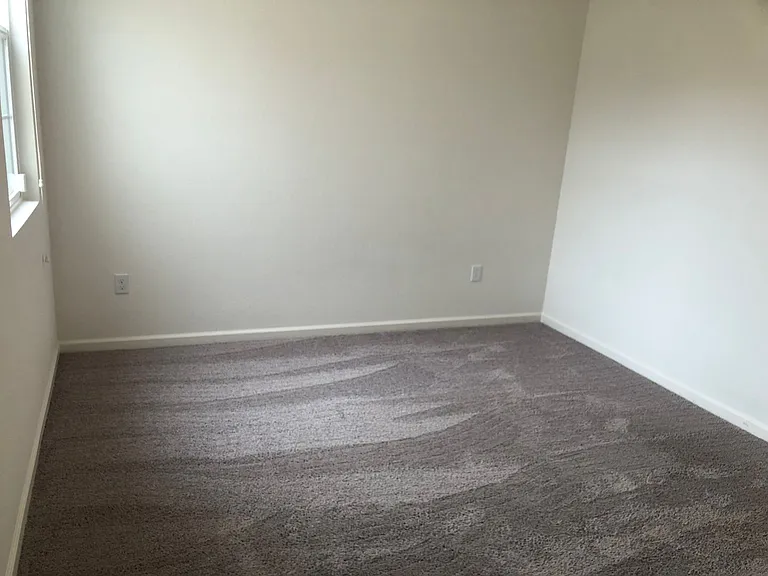 405 Carly Anne Dr — Photo 7