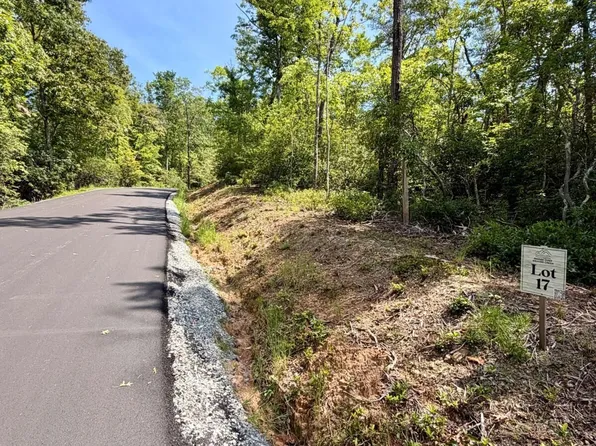 17 Turquoise Rdg, Blue Ridge, GA 30513