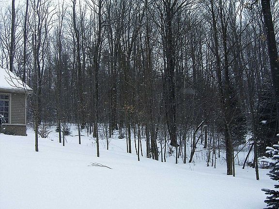 Side Woods