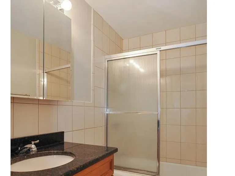 3600 N Lake Shore Dr #2118 — Photo 20