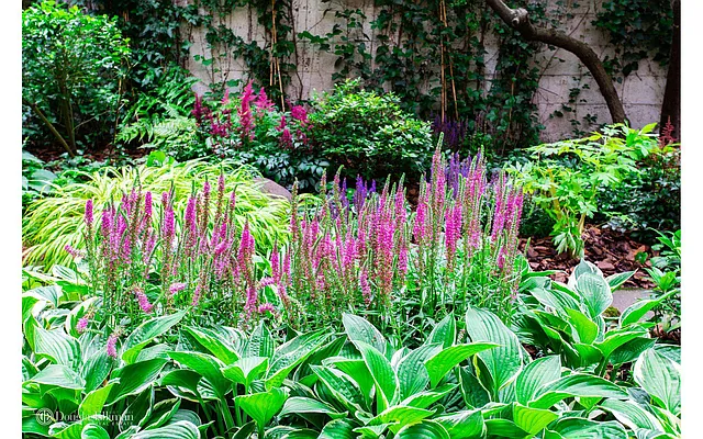 Rented by Douglas Elliman | media 16