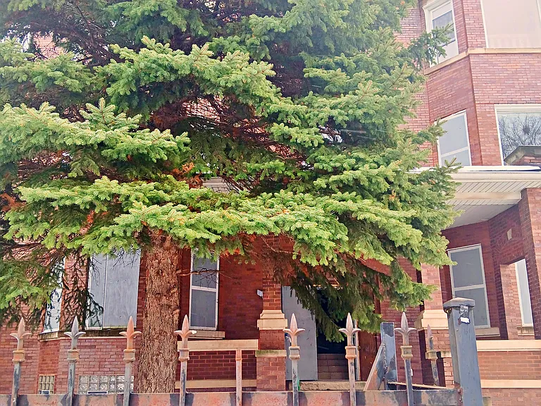 207-209 N Parkside Ave #2 — Photo 3