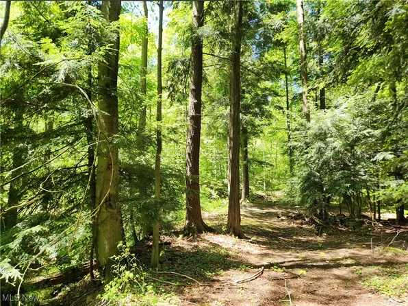 Vacant Land Brakeman Rd, Painesville, OH 44077