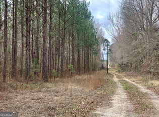 45 Lower River Rd, Eastman, GA 31023