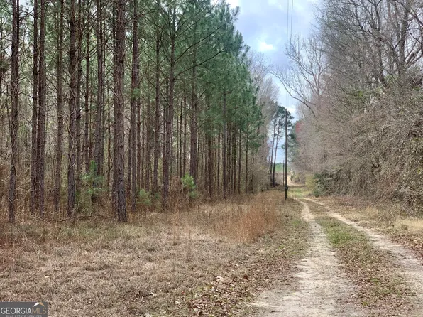 45 Lower River Rd, Eastman, GA 31023