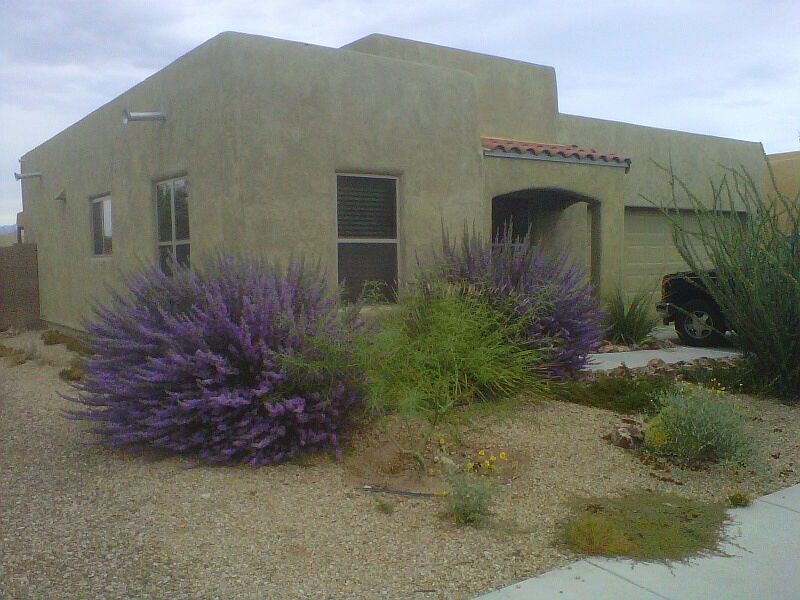 1st image of 5723 E Camino De Las Iguanas