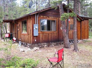106 County Road 82 E, Allenspark, CO 80510