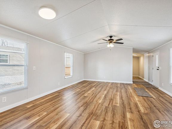 5th image of 320 Caragana Cv #10