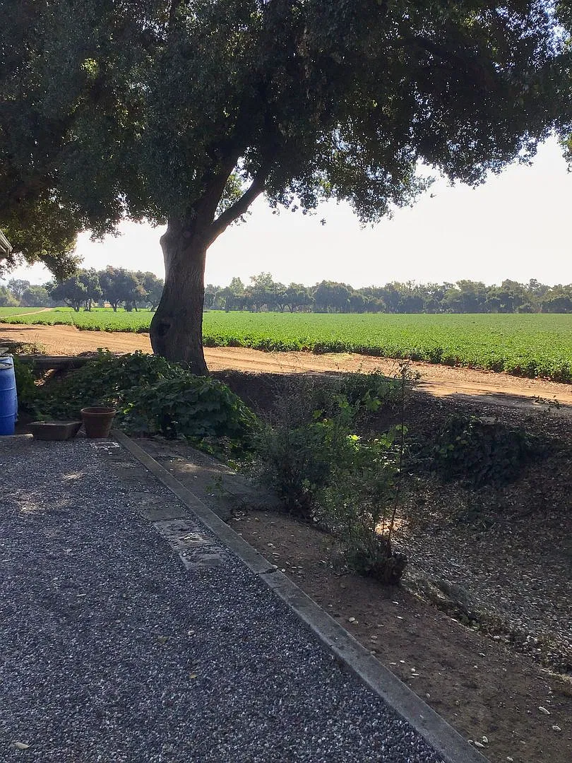 3 Bedroom Home in Gilroy — Photo 3