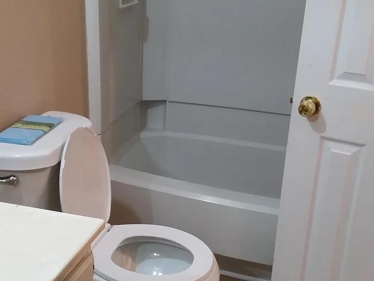 Downstairs bath with entry from the bedroom and the hall