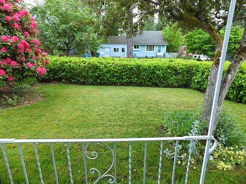 Front Yard