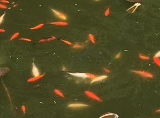 552 Ahlstrand Rd, Glen Ellyn, IL 60137