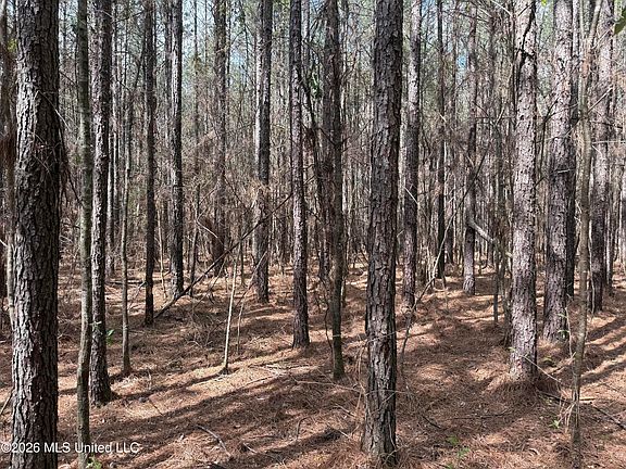 2nd image of 0 Alfred Agee Rd