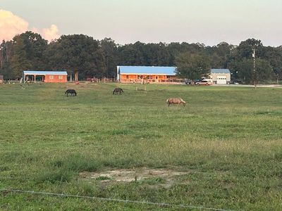 (Undisclosed Address), Deer Lodge, TN, 37726