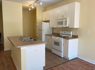 1509 S Halsted St UNIT 207, Chicago, IL 60607