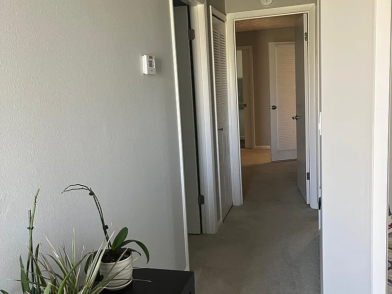 3609 Monza Dr — Photo 32