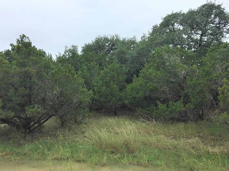 2nd image of 2238 Western Skies Dr