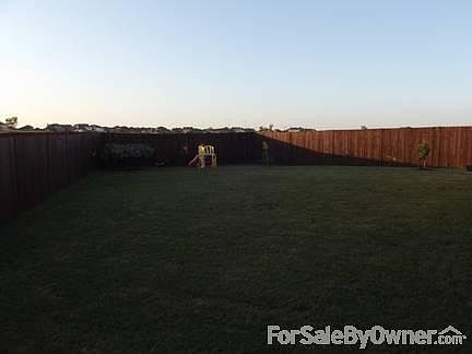 Back yard