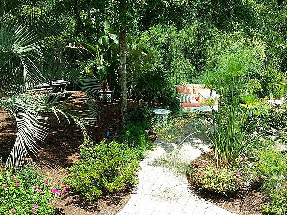 Back Area