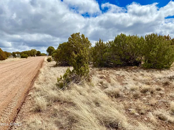 8418 SNOWFLAKE Circle #54, Show Low, AZ 85901