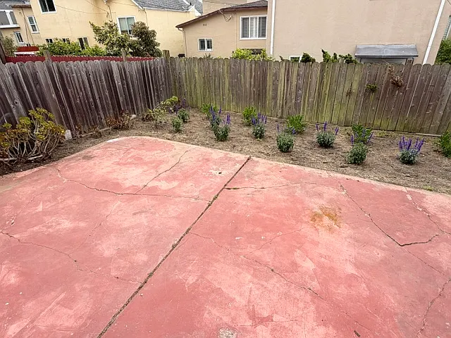 177 Wilshire Ave — Photo 21