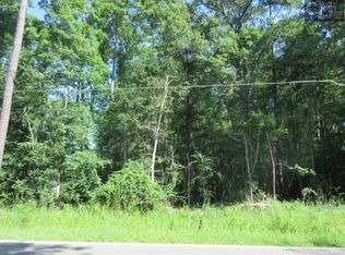 1544 Dreher Island Rd, Chapin, SC 29036