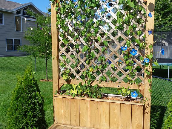 Cedar bench/flower box