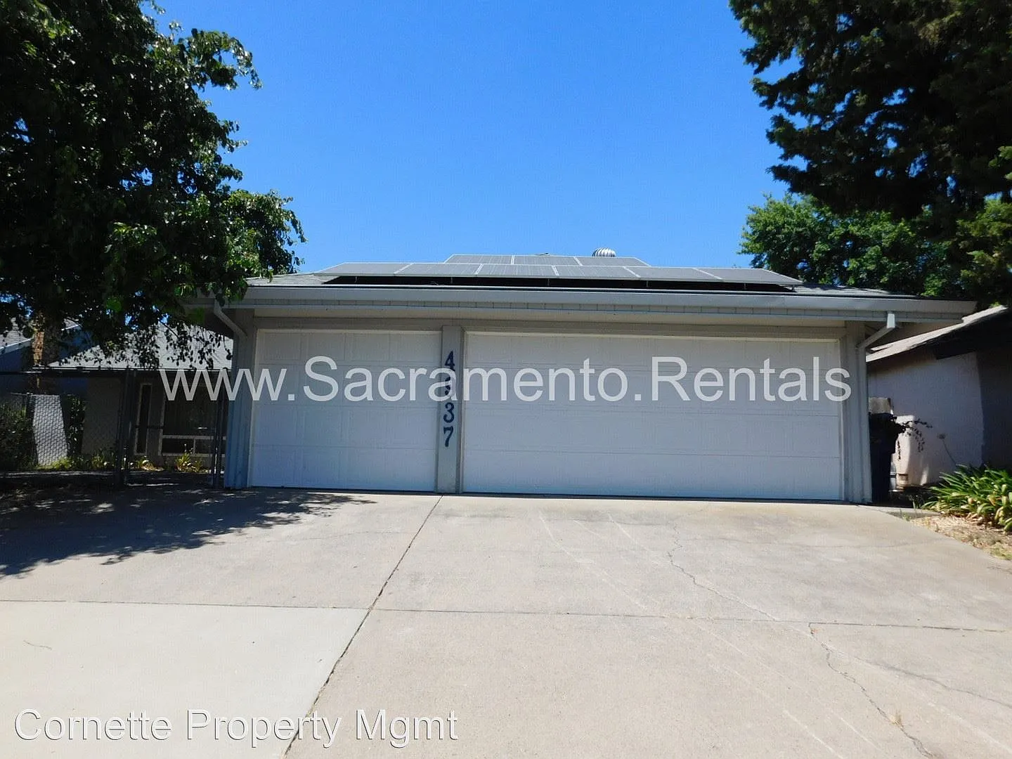 4937 Palm Ave photo 1
