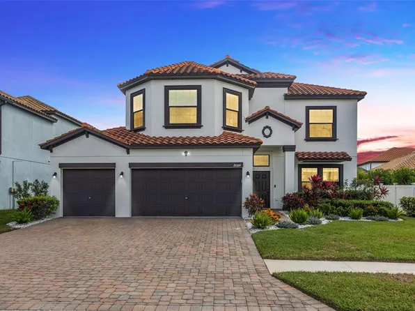 19084 Shalott Ct, Land O Lakes, FL 34638