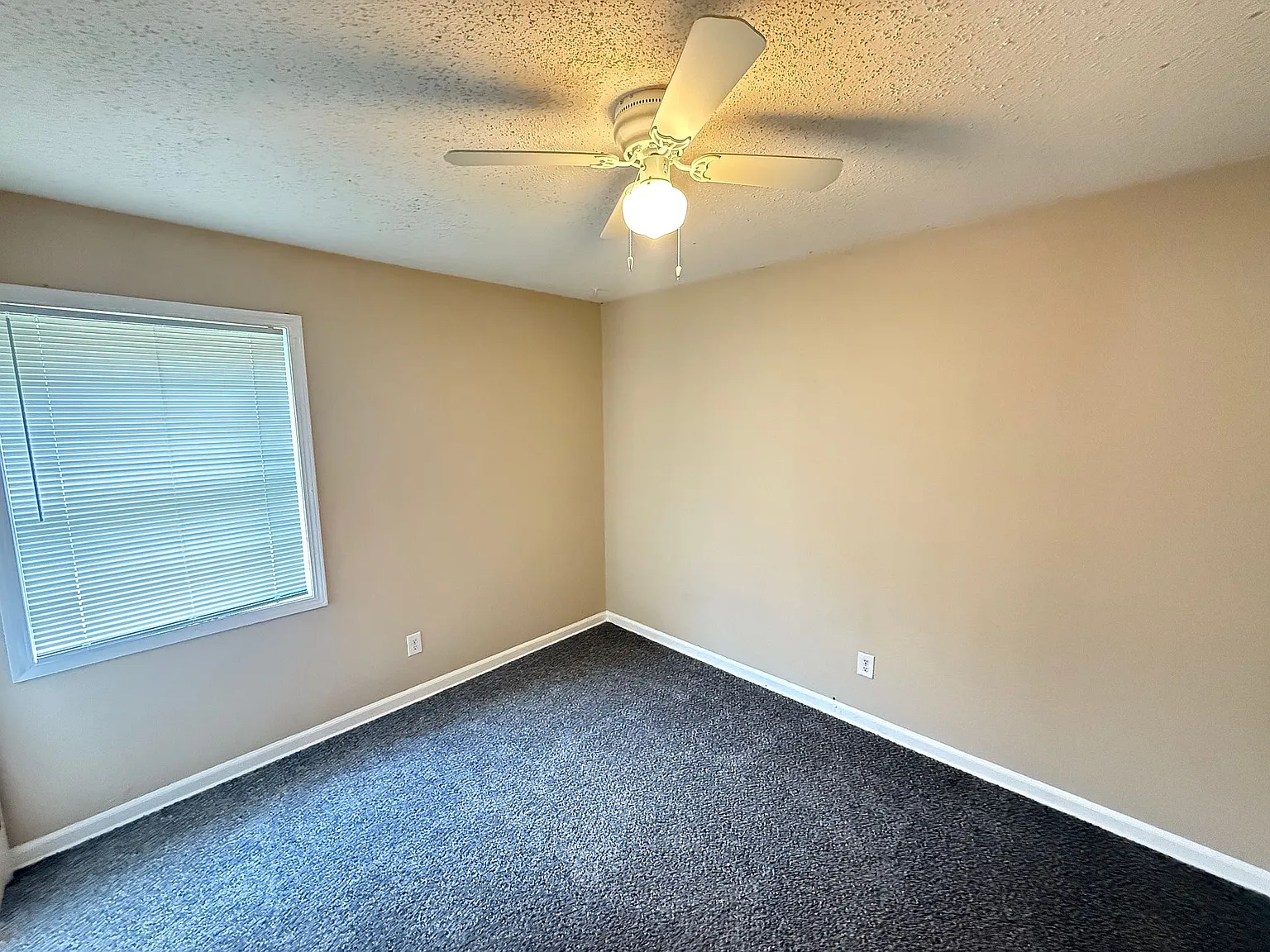 4318 Mountain Terrace St — Photo 3