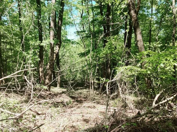 0 Coburntown Rd Lot 13, South Pittsburg, TN 37380